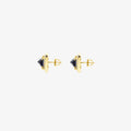 New Earring